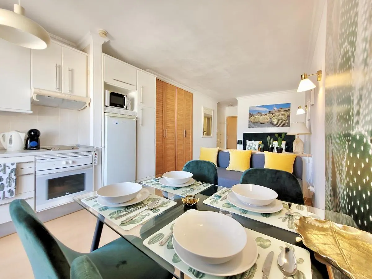 Studio Palmera Puerto de la Cruz  Apartment