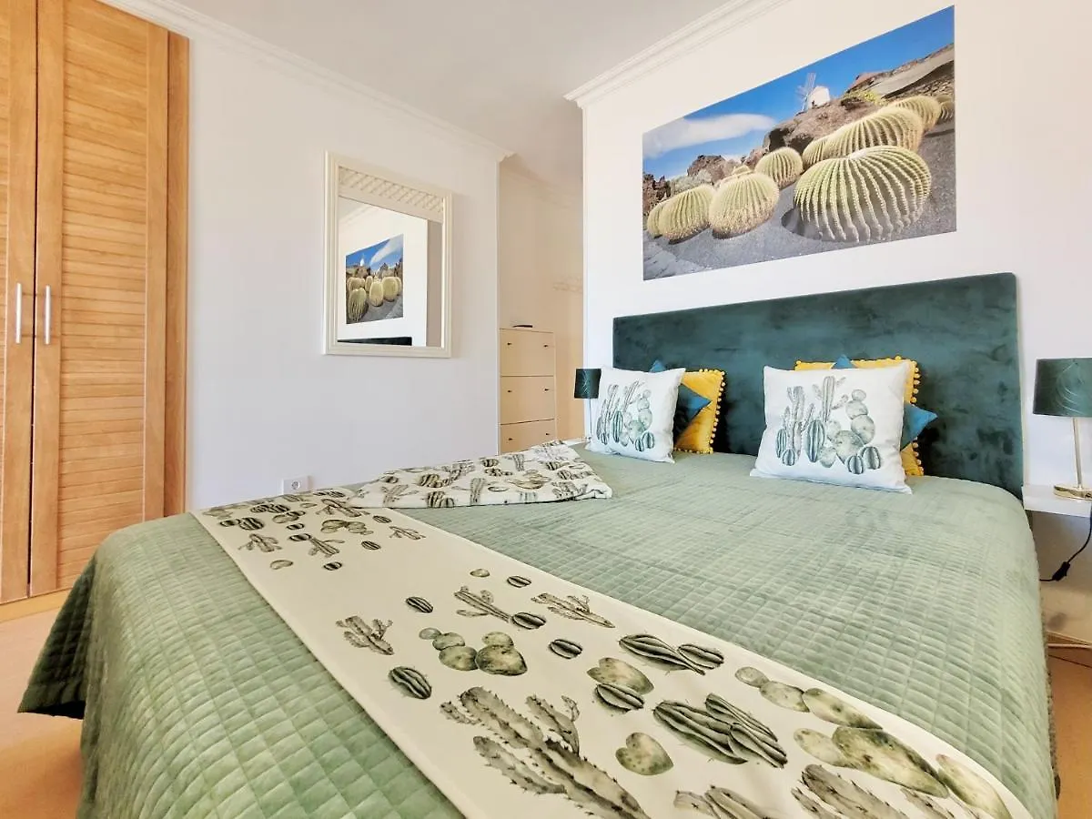 Studio Palmera Puerto de la Cruz  Apartment